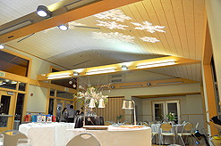 AI2 - ALLEN INSTITUTE HOLIDAY PARTY